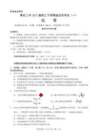 黄石市黄石二中 2025 届高三下学期高考适应性考试（一）化学试题（含答案）