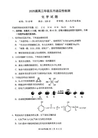 湖北省武汉市华中师范大学第一附属中学2025届高三下学期五月高考适应性检测化学试题（含答案）