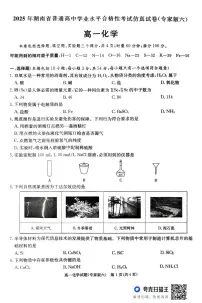 2025年湖南省高中学业水平合格性考试仿真试卷 化学试题 含答案