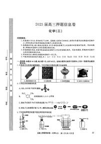 2025年九师联盟押题卷三高考模拟化学试题及答案