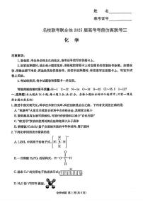 2025届湖南省长沙市名校联合体高考考前仿真联考（三） 化学试卷（含答案）