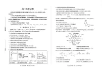 2025届山东省德州市高三下学期三模化学试题 德州化学试题（含答案）