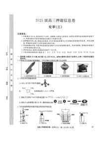 九师联盟2025届高三下学期押题信息卷（三）化学试题（PDF版附解析）