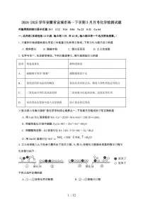 2024_2025学年 安徽宣城高一第二学期3月月考化学试卷[附答案]