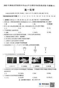 2025年湖南省高中学业水平合格性考试仿真试卷 化学试题（中考模拟）