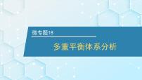 2026年人教版高考化学一轮复习课件 第7章  微专题18 多重平衡体系分析