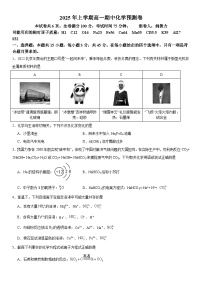 湖北省大冶市实验高中2024-2025学年高一下学期期中考试 化学试题含解析