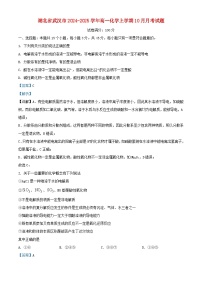湖北省武汉市2024_2025学年高一化学上学期10月月考试题含解析