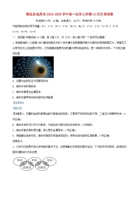 湖北省宜昌市2024_2025学年高一化学上学期10月月考试卷含解析