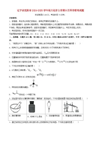 辽宁省沈阳市2024_2025学年高三化学上学期9月开学联考试题含解析