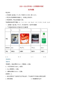 北京市2023_2024学年高一化学上学期期中试题含解析 (1)