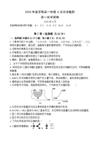 甘肃省张掖市某校2024-2025学年高一下学期6月月考化学试卷