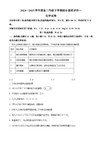 河北省衡水中学2025届高三下学期综合素质评价化学试题含解析