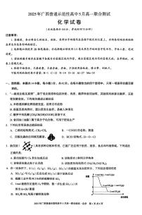 广西普通示范性高中2024-2025学年高一下学期5月联合测试化学试卷（PDF版附答案）