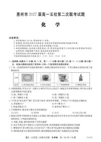 广东省惠州市五校2024-2025学年高一下学期第二次联考化学试题（PDF版附答案）