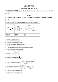 北京市朝阳区2024-2025学年高三上学期期末考试 化学试题