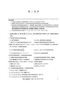 河南省商丘市九师联盟2024-2025学年高二下学期6月摸底联考化学试卷（PDF版附解析）