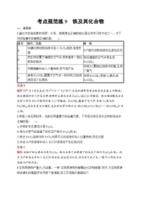 2026届高三化学一轮复习课后习题考点规范练9铁及其化合物（Word版附解析）