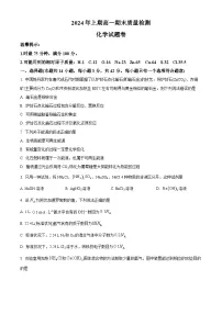 湖南省邵阳市新邵县2023-2024学年高一下学期期末考试化学试题.zip