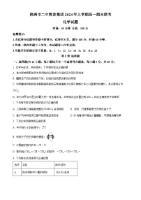 湖南省株洲市第二中学教育集团2023-2024学年高一下学期期末联考 化学试题.zip
