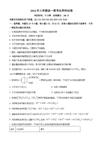 湖南省邵阳市邵东市2023-2024学年高一下学期期末考试化学试题.zip