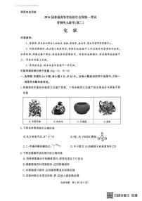 河南省新乡市部分学校2024-2025学年高二下学期6月月考 化学试题