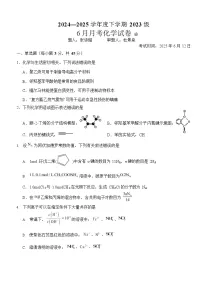 湖北省荆州市沙市中学2024-2025学年高二下学期6月月考化学试题