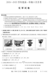 河北省部分高中2024-2025学年高一下学期6月月考化学试题（PDF版附解析）