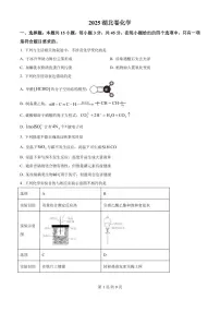 2025年湖北高考真题化学试题（原卷版+解析版）