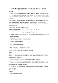 云南省大理白族自治州2025届高三上学期二模考试化学试卷（解析版）