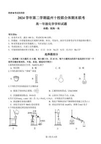 浙江省温州市十校2025年高一下学期6月期末化学试题（含答案）