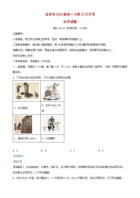 四川省宜宾市2024_2025学年高一化学上学期10月月考试题含解析