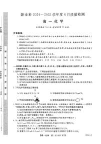 河南省南阳市新未来联考2024-2025学年高一下学期6月期末化学试题（含答案）