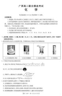 广西2024-2025学年高二下学期6月联合摸底考试 化学（含答案）