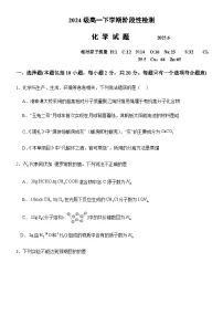 山东省泰安一中2024-2025学年第二学期高一年级6月份学情检测 化学试题（含答案）