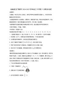 【化学】河南省三门峡市2024-2025学年高二下学期5月期末考试（解析版）