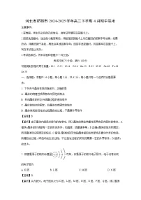 【化学】河北省邯郸市2024-2025学年高二下学期4月期中联考（解析版）
