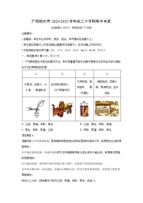 【化学】广西梧州市2024-2025学年高二下学期期中考试（解析版）