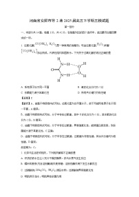 【化学】河南省安阳市等2地2025届高三下学期三模试题（解析版）