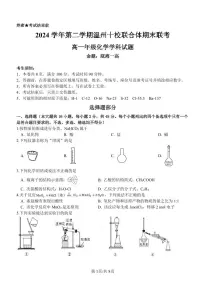 2024-2025学年浙江省温州市高一下学期十校联考期末考试 化学试题（含答案）