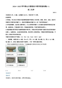 广东省佛山市2025届高三上学期一模化学试卷（Word版附解析）