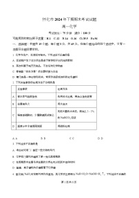 湖南省怀化市2024-2025学年高一下学期期末考试化学试题（Word版附解析）