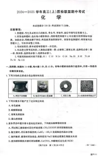 河北省邢台市质检联盟2024-2025学年高三上学期11月期中考试+化学试题