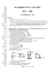 浙江省强基联盟2025届高三2月联考-化学试卷（含答案）