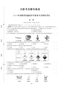 【化学】2023年安徽省普通高中学业水平合格性考试