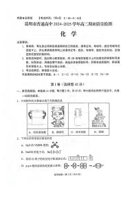 云南省昆明市2024-2025学年高二下学期期末质量监测化学试卷（含答案）