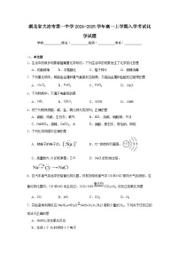 湖北省大冶市第一中学2024-2025学年高一上学期入学考试化学试题（含答案）