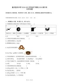 重庆市复旦中学2024-2025学年高二下学期6月质量监测化学试题（PDF版，含答案）含答案解析