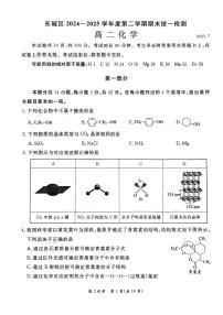 2025北京东城高二下学期期末化学试卷含答案