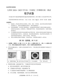 广东省大湾区2024-2025学年高一下学期期末化学试卷（含答案）